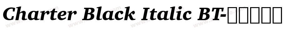 Charter Black Italic BT字体转换